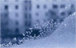 Монтажная пена и её применения